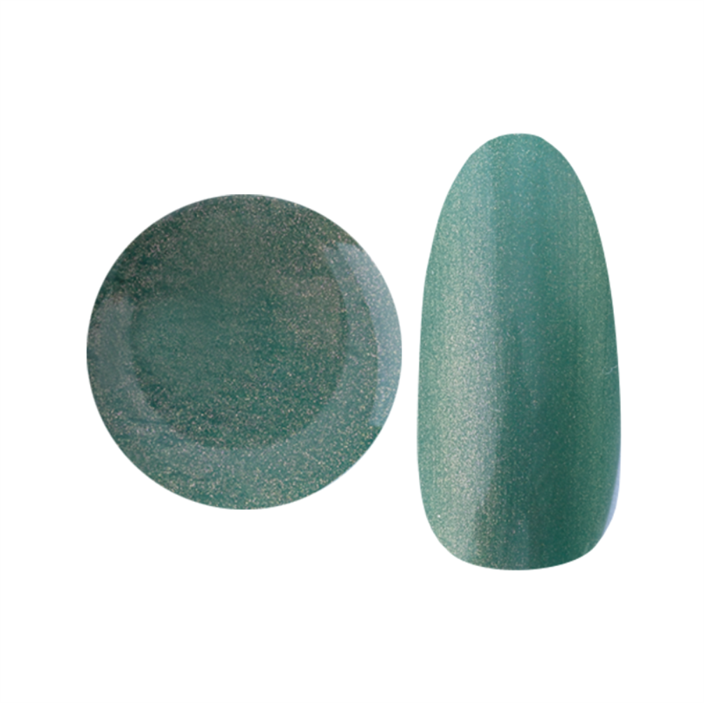 NYCOGEL COLOR GEL Japanese Professional Gel for Nail Artists G201-M300