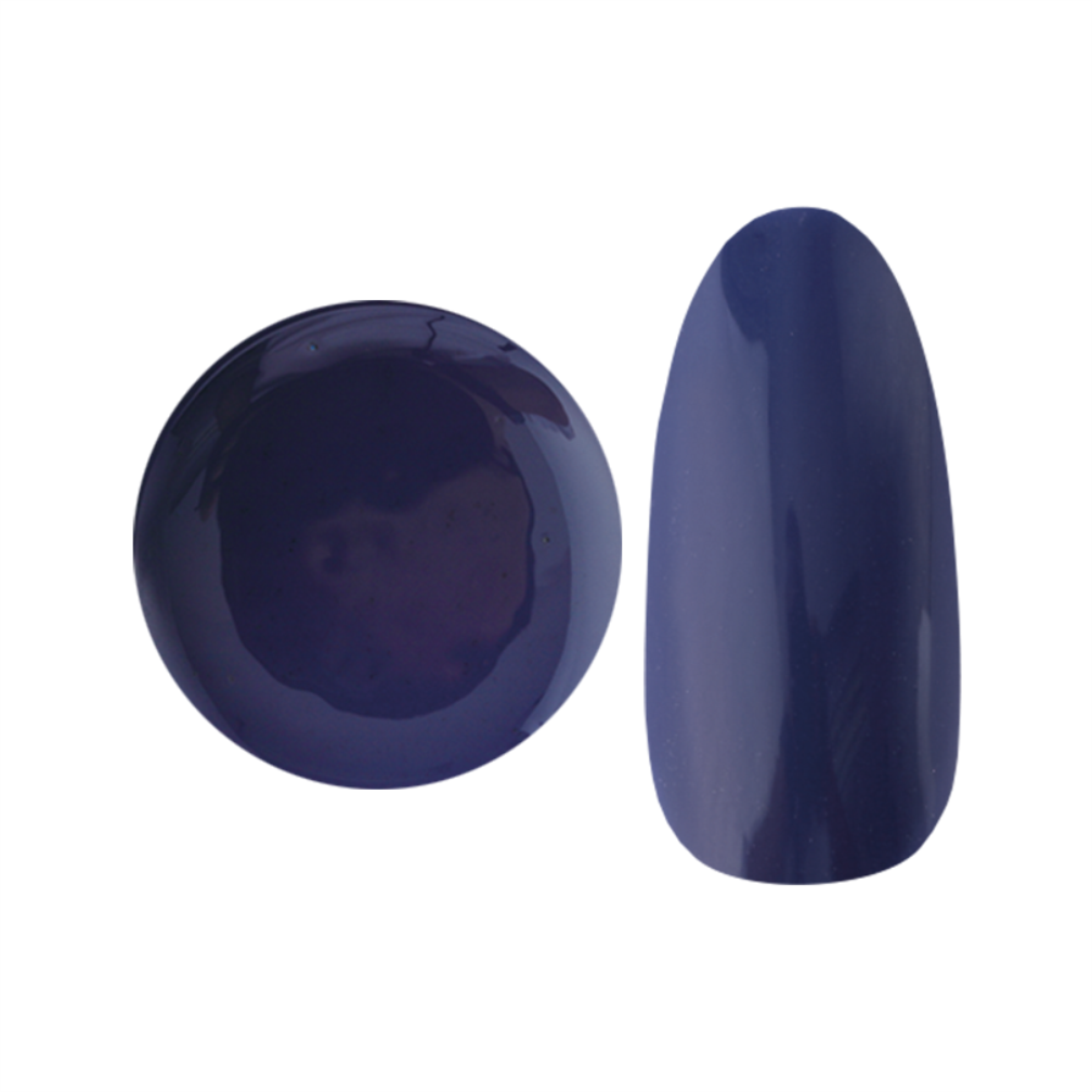 NYCOGEL COLOR GEL Japanese Professional Gel for Nail Artists G201-M300