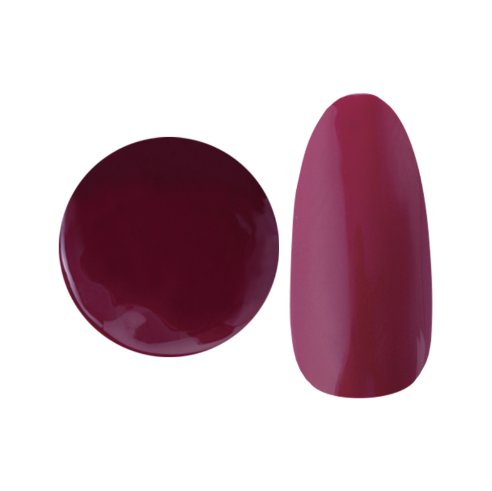 NYCOGEL COLOR GEL Japanese Professional Gel for Nail Artists G201-M300