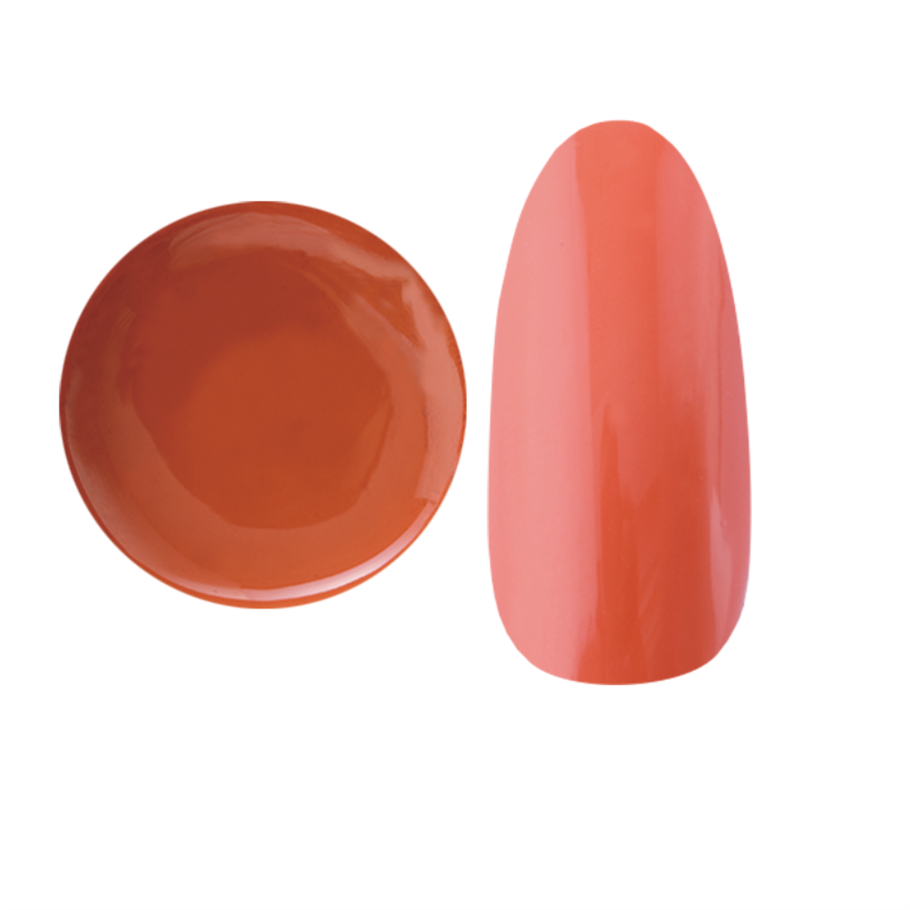 NYCOGEL COLOR GEL Japanese Professional Gel for Nail Artists G201-M300