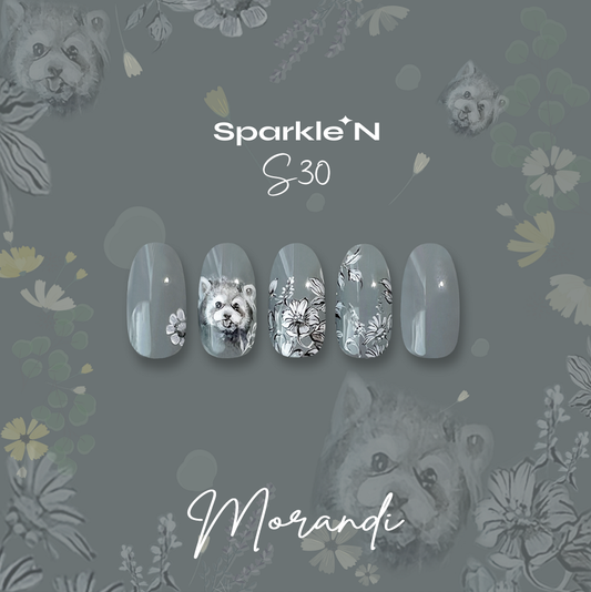 Sparkle N Color 🏵️ Morandi