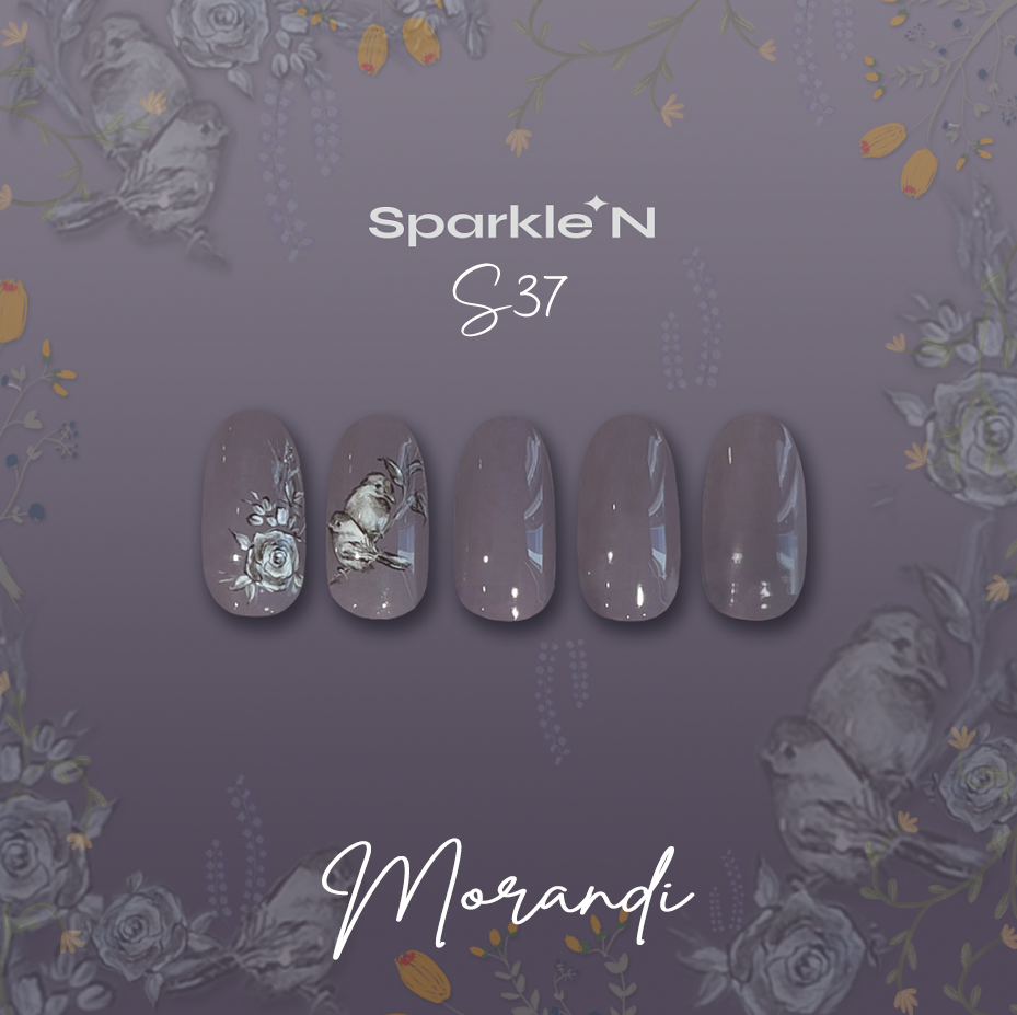 Sparkle N Color 🏵️ Morandi