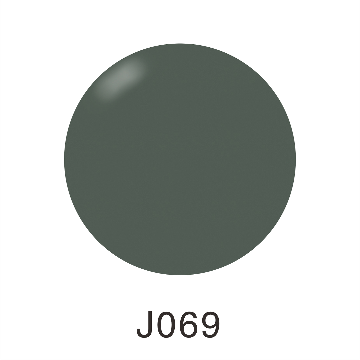 Presto Color Gel Polish S401-J074