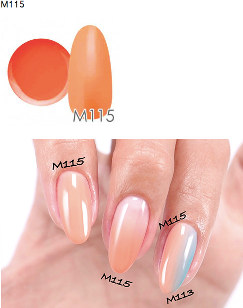 NYCOGEL COLOR GEL Japanese Professional Gel for Nail Artists M101-G200