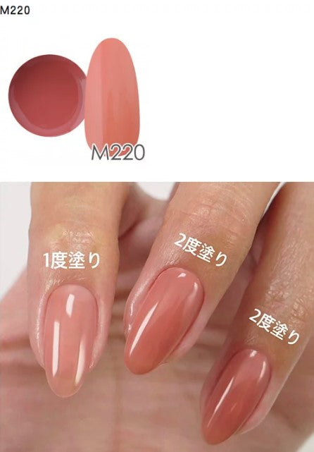 NYCOGEL COLOR GEL Japanese Professional Gel for Nail Artists G201-M300