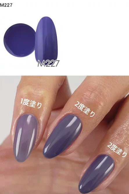 NYCOGEL COLOR GEL Japanese Professional Gel for Nail Artists G201-M300