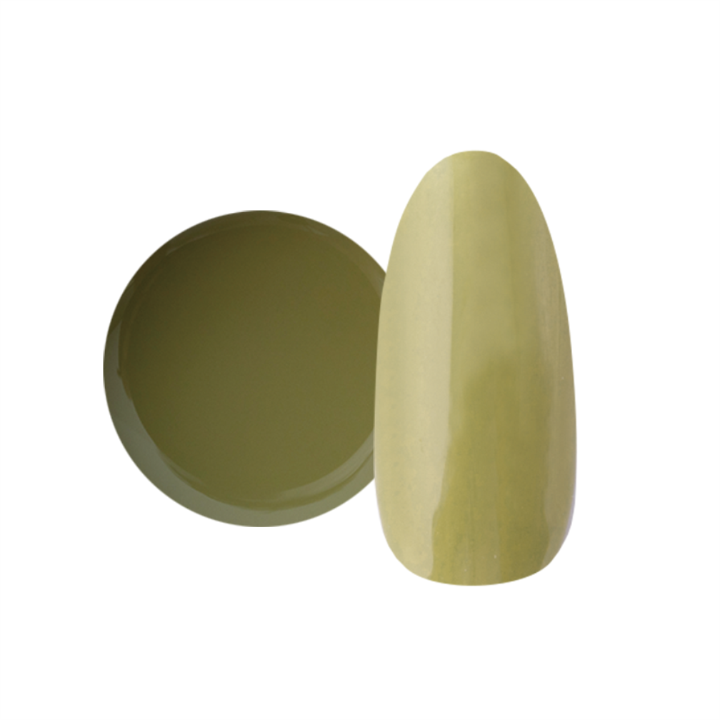 NYCOGEL COLOR GEL Japanese Professional Gel for Nail Artists G201-M300