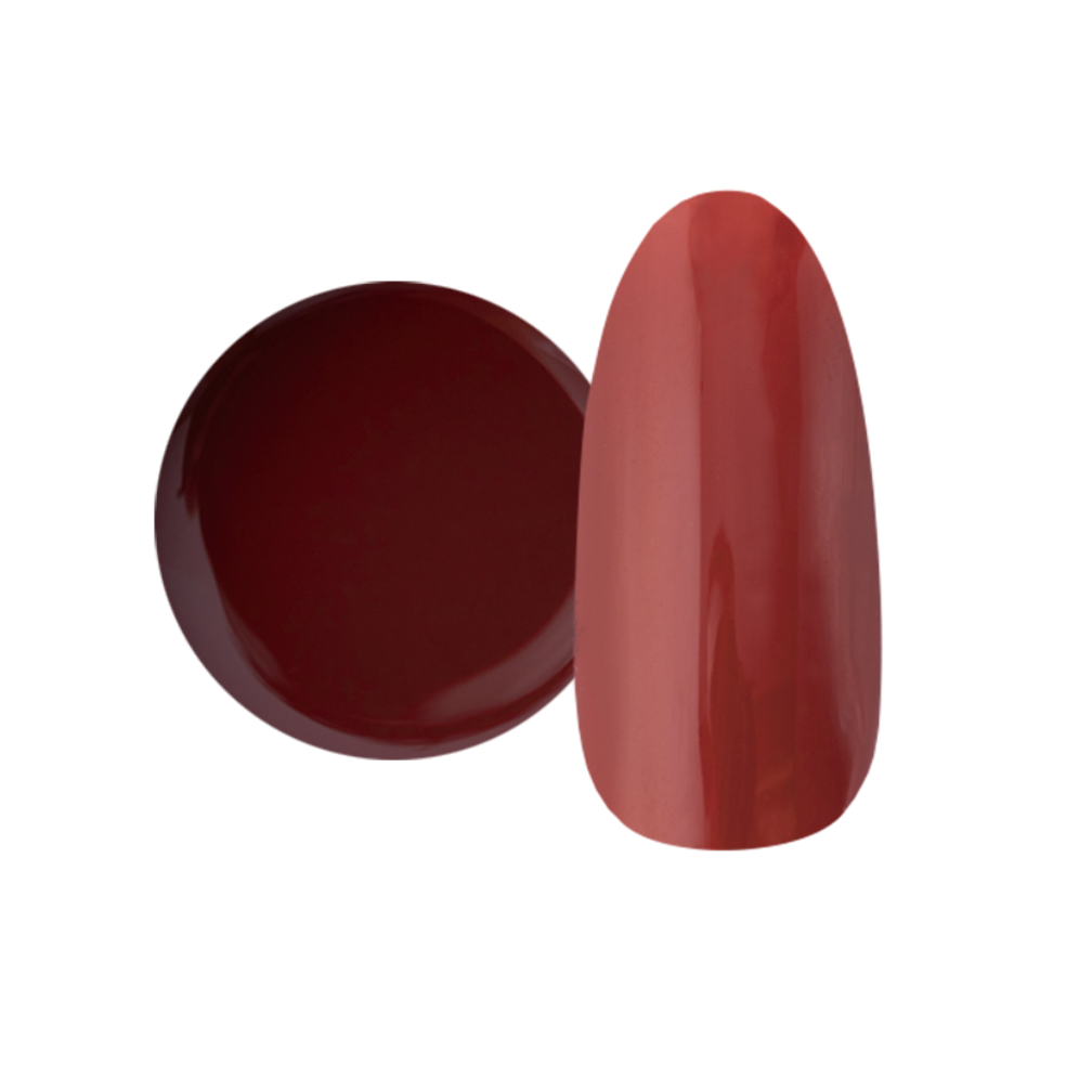 NYCOGEL COLOR GEL Japanese Professional Gel for Nail Artists G201-M300